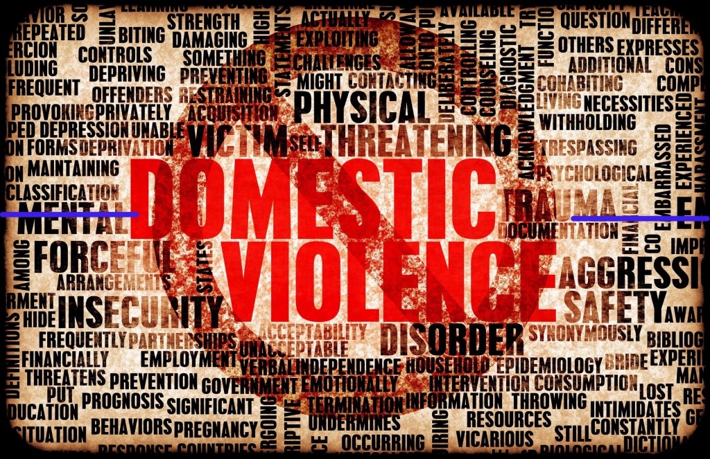 domestic violence article number